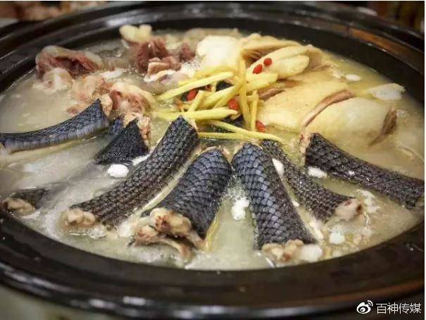 Đồ ăn từ rắn tại Đài Loan